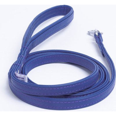 Angel Angel Alpine Padded Leather Dog Leash, Blue, 72 x 1/2-in