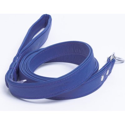Angel Angel Alpine Padded Leather Dog Leash, Blue, 72 x 1-in