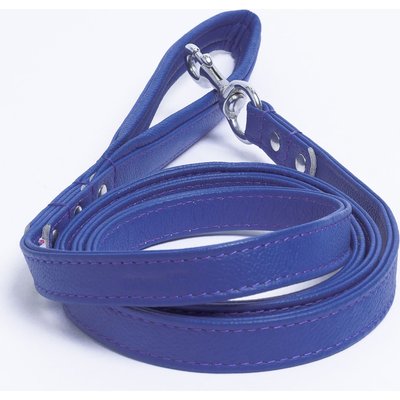 Angel Angel Alpine Padded Leather Dog Leash, Blue, 72 x 3/4-in