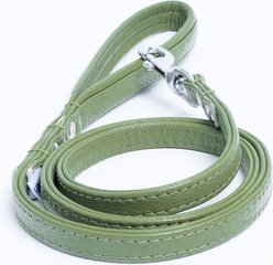 Angel Alpine Padded Leather Dog Leash, Green, 48 x 1/2-in