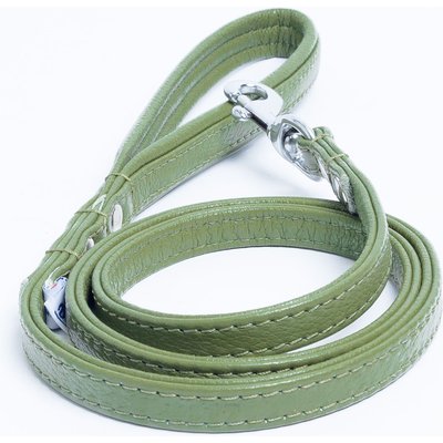 Angel Angel Alpine Padded Leather Dog Leash, Green, 48 x 1/2-in