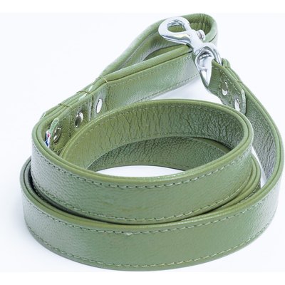 Angel Angel Alpine Padded Leather Dog Leash, Green, 72 x 1-in