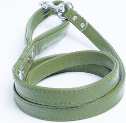 Angel Alpine Padded Leather Dog Leash, Green, 72 x 3/4-in