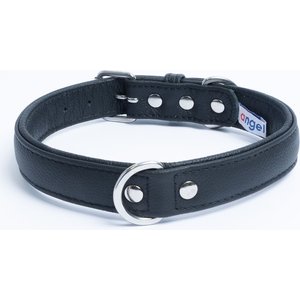 Angel Alpine Padded Leather Standard Dog Collar, Black, 20 x 1-in