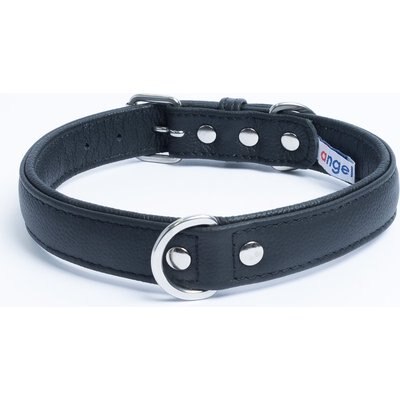 Angel Angel Alpine Padded Leather Standard Dog Collar, Black, 20 x 1-in