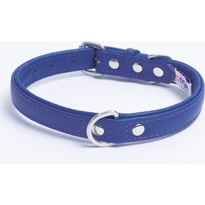 Angel Angel Alpine Padded Leather Standard Dog Collar, Blue, 14 x 3/4-in
