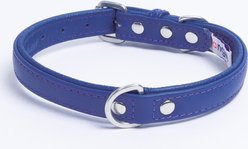 Angel Alpine Padded Leather Standard Dog Collar, Blue, 16 x 3/4-in