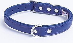 Angel Alpine Padded Leather Standard Dog Collar, Blue, 18 x 3/4-in