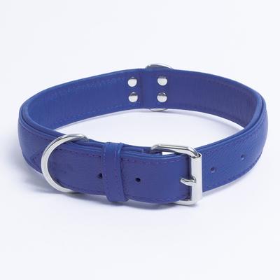 Show full view: Angel Alpine Padded Leather Standard Dog Collar, Blue, 26" x 1.25" slide 3 of 6