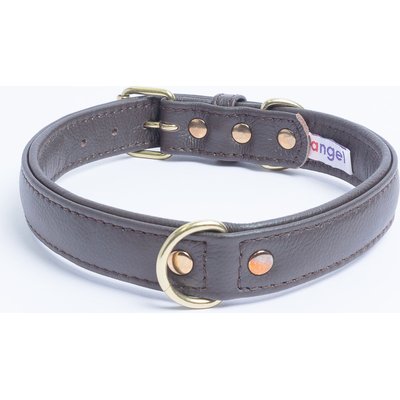 Angel Angel Alpine Padded Leather Standard Dog Collar, Brown, 20 x 1-in