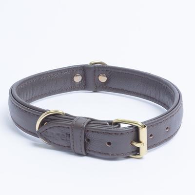 Show full view: Angel Alpine Padded Leather Standard Dog Collar, Brown, 20 x 1-in slide 4 of 7