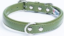 Angel Alpine Padded Leather Standard Dog Collar, Green, 14 x 3/4-in