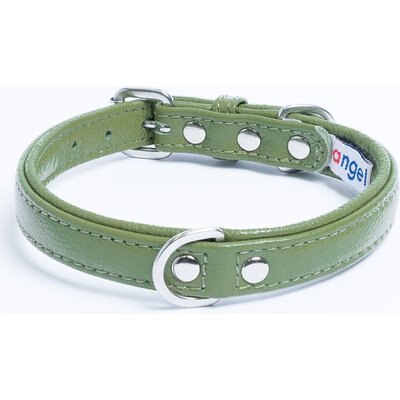 Angel Angel Alpine Padded Leather Standard Dog Collar, Green, 14 x 3/4-in