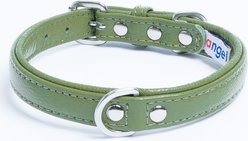 Angel Alpine Padded Leather Standard Dog Collar, Green, 16 x 3/4-in