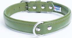 Angel Alpine Padded Leather Standard Dog Collar, Green, 20 x 1-in