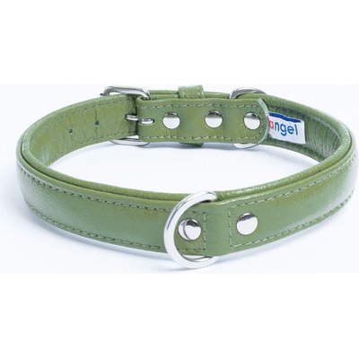 Angel Angel Alpine Padded Leather Standard Dog Collar, Green, 22 x 1-in