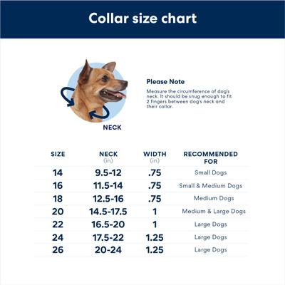 Show full view: Angel Alpine Padded Leather Standard Dog Collar, Purple, 20 x 1-in slide 3 of 6