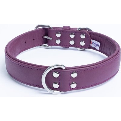 Angel Angel Alpine Padded Leather Standard Dog Collar, Purple, 24" x 1.25"