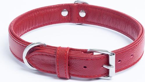 Show full view: Angel Alpine Padded Leather Standard Dog Collar, Red, 20 x 1-in slide 3 of 7