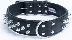 Angel Amsterdam Multi-line Spiked Standard Dog Collar, Black, 24 x 1.5-in