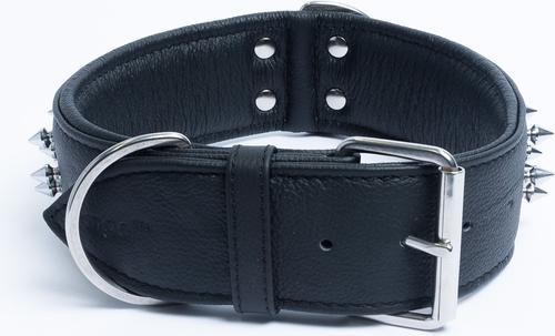 Show full view: Angel Amsterdam Multi-line Spiked Standard Dog Collar, Black, 26 x 2-in slide 3 of 6