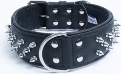 Angel Amsterdam Multi-line Spiked Standard Dog Collar, Black, 28 x 2-in