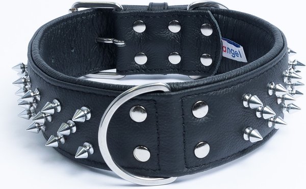 ANGEL Amsterdam Multi-line Spiked Standard Dog Collar, Black