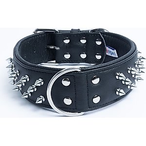 ANGEL Amsterdam Multi-line Spiked Standard Dog Collar, Black, 28 x