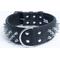 Show in main carousel: Angel Amsterdam Multi-line Spiked Standard Dog Collar, Black, 28 x 2-in slide 1 of 7