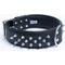 Show in main carousel: Angel Amsterdam Multi-line Spiked Standard Dog Collar, Black, 28 x 2-in slide 3 of 7