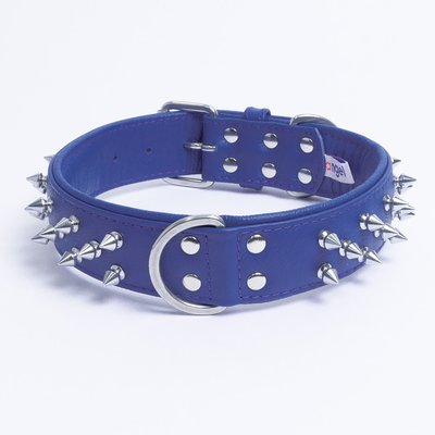 Angel Angel Amsterdam Multi-line Spiked Standard Dog Collar, Blue, 24 x 1.5-in