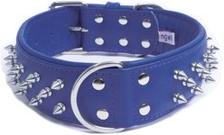 Angel Amsterdam Multi-line Spiked Standard Dog Collar, Blue, 26 x 2-in