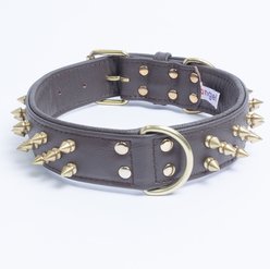 Angel Amsterdam Multi-line Spiked Standard Dog Collar, Brown, 24 x 1.5-in