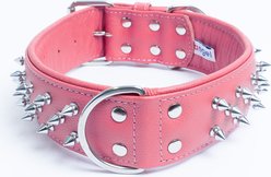 Angel Amsterdam Multi-line Spiked Standard Dog Collar, Pink, 28 x 2-in