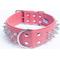 Show in main carousel: Angel Amsterdam Multi-line Spiked Standard Dog Collar, Pink, 28 x 2-in slide 1 of 6