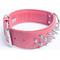 Show in main carousel: Angel Amsterdam Multi-line Spiked Standard Dog Collar, Pink, 28 x 2-in slide 2 of 6