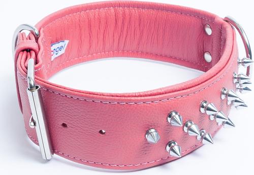 Show full view: Angel Amsterdam Multi-line Spiked Standard Dog Collar, Pink, 28 x 2-in slide 2 of 6