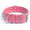 Show in main carousel: Angel Amsterdam Multi-line Spiked Standard Dog Collar, Pink, 28 x 2-in slide 3 of 6