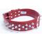 Show in main carousel: Angel Amsterdam Multi-line Spiked Standard Dog Collar, Red, 24 x 1.5-in slide 2 of 6