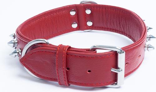 Show full view: Angel Amsterdam Multi-line Spiked Standard Dog Collar, Red, 24 x 1.5-in slide 3 of 6