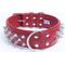 Show in main carousel: Angel Amsterdam Multi-line Spiked Standard Dog Collar, Red, 26 x 2-in slide 1 of 6