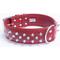 Show in main carousel: Angel Amsterdam Multi-line Spiked Standard Dog Collar, Red, 26 x 2-in slide 2 of 6