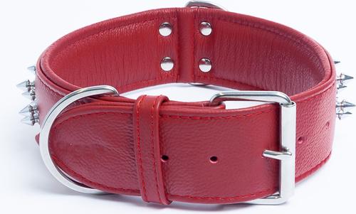 Show full view: Angel Amsterdam Multi-line Spiked Standard Dog Collar, Red, 26 x 2-in slide 3 of 6