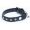 Show in main carousel: Angel Athens Rhinestone Standard Cat Collar, Black, 12 x 1/2-in slide 1 of 6
