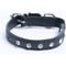 Show in main carousel: Angel Athens Rhinestone Standard Cat Collar, Black, 12 x 1/2-in slide 4 of 6