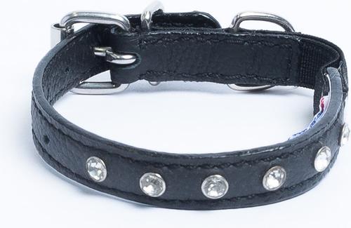 Show full view: Angel Athens Rhinestone Standard Cat Collar, Black, 12 x 1/2-in slide 4 of 6