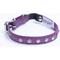 Show in main carousel: Angel Athens Rhinestone Standard Cat Collar, Purple, 12 x 1/2-in slide 1 of 4