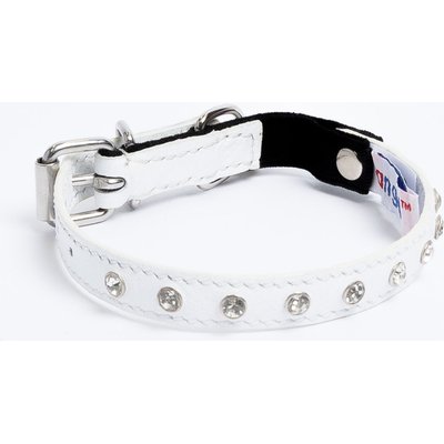 Angel Angel Athens Rhinestone Standard Cat Collar, White, 12 x 1/2-in