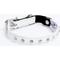 Show in main carousel: Angel Athens Rhinestone Standard Cat Collar, White, 12 x 1/2-in slide 1 of 6
