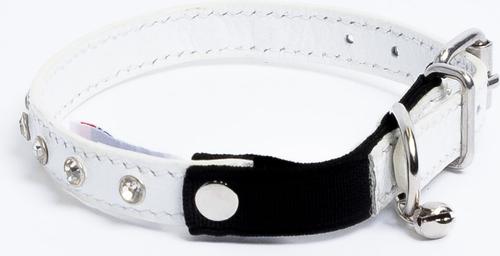 Show full view: Angel Athens Rhinestone Standard Cat Collar, White, 12 x 1/2-in slide 4 of 6
